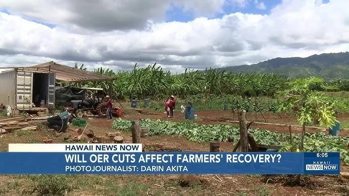 HNN: Farmers seek help as city officials discuss future of economic office