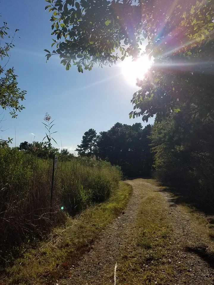 On The Hiking Trails Where I Go To Clear My Head