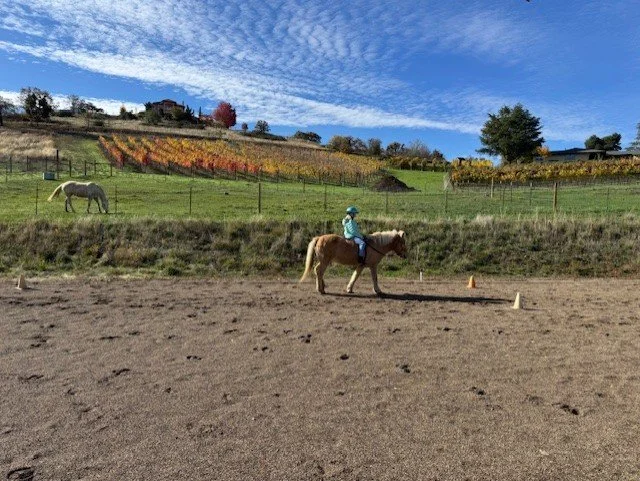 Chloe riding Lina vineyard background.jpeg