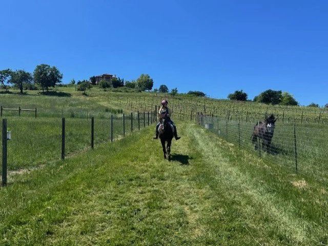 Isabella riding Hickory trail.jpeg