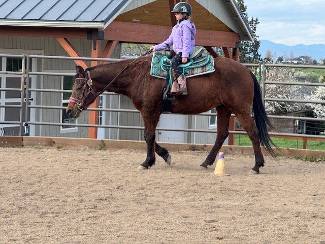 cora riding hickory.jpeg