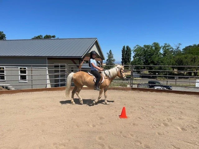 Lessons — Tesoro Equine and Vine