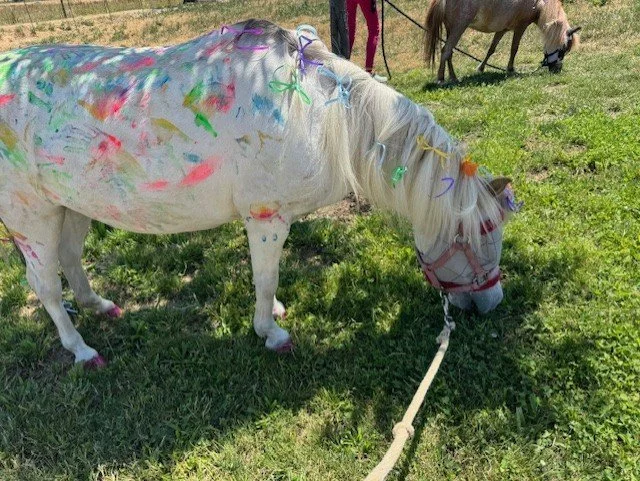snickers painted and decorated alone.jpeg