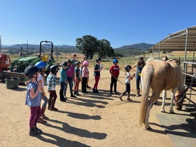 camp group parts on Lyric.jpeg