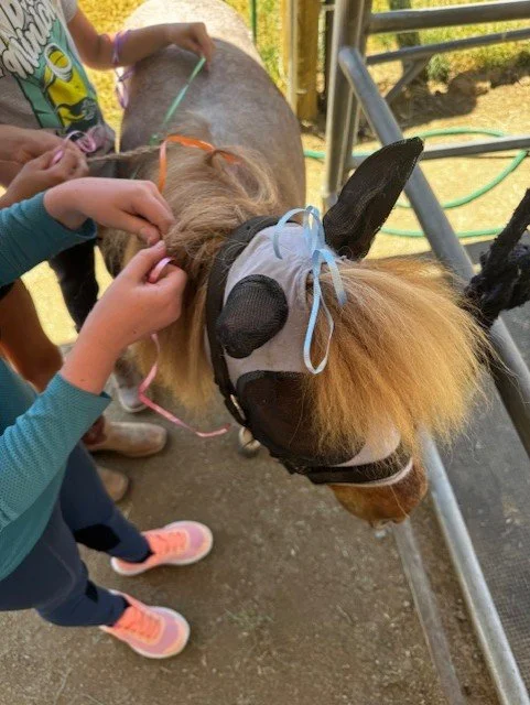 decorating ribbon on velvet.jpeg