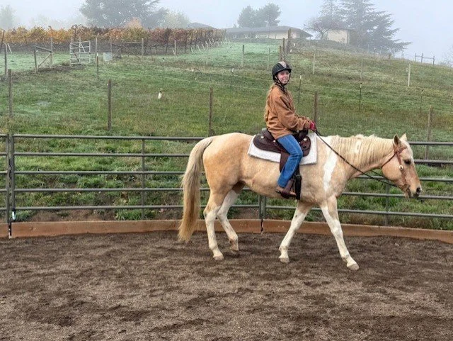Shelby riding Lyric.jpeg