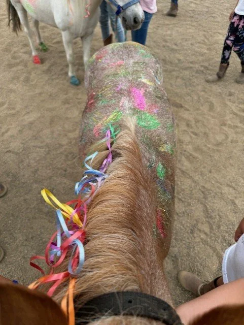 Velvet glittered.jpeg