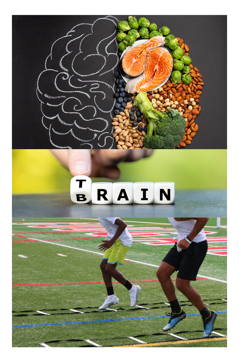 The Pillars of Performance: Nutrition, Physical Training, and Mental ...