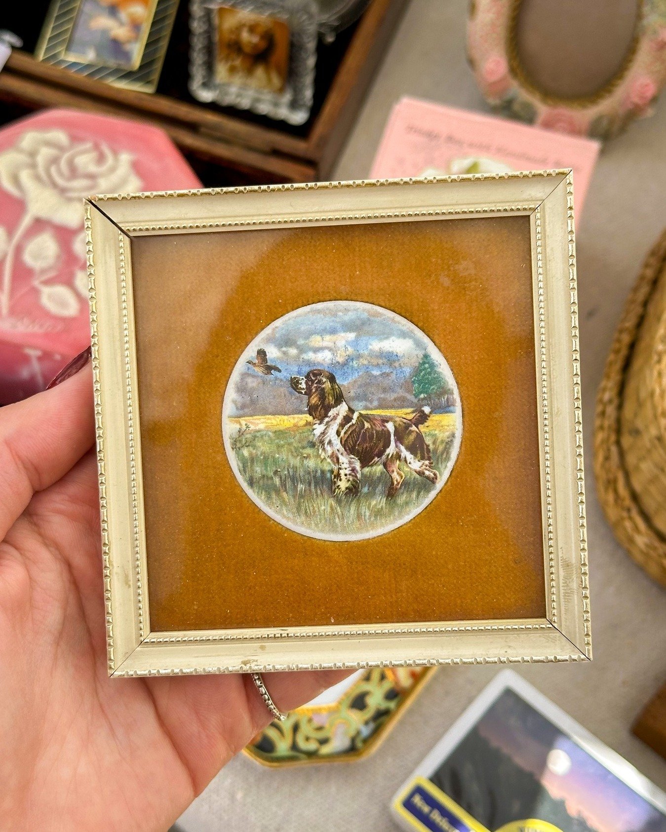 NEXT SATURDAY! @shopquirkycactusco will be joining us for our Dallas show, and we can't wait! They'll be bringing a curated selection of vintage + upcycled goods,  as well as quirky and novelty gift/decor items, with something for everyone ✨ Details 