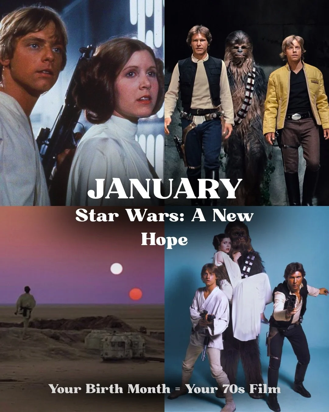 Your Birth Month = Your 70s Film! Which film did you get? 👀

Are you a fan of all things vintage? Then don&rsquo;t miss out on Time Travelers Vintage Expo in your city this year! 👇

UPCOMING DATES:
🌜 4/4 - Des Moines, IA
🌁 4/18 - San Mateo, CA
🧳