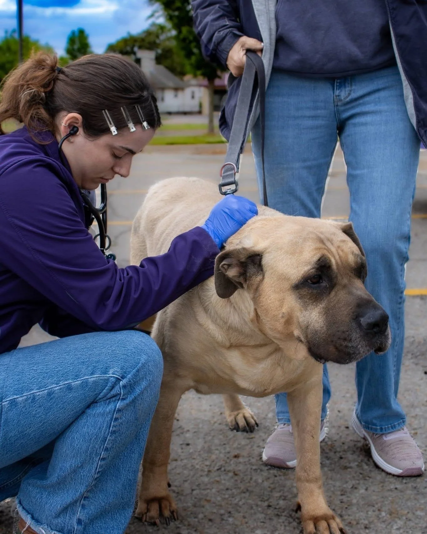 WICHITA! We're so excited to announce that Wichita Animal Action League will be joining us TOMORROW, May 23rd for our Wichita event! WAAL's mission is to prevent and mitigate crisis for animals, their owners, and the Wichita community by offering pro