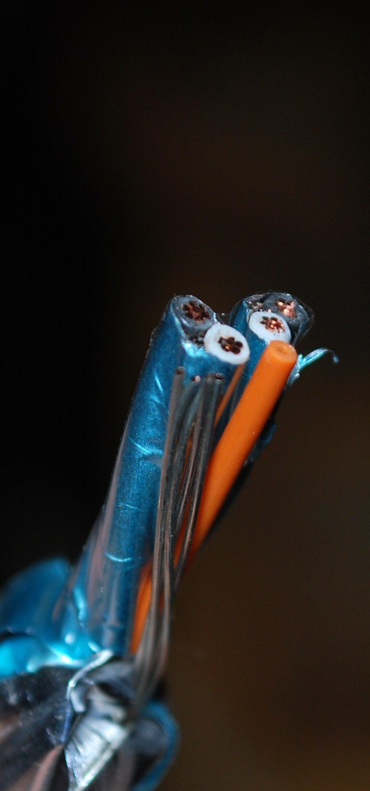 Multi-Conductor Cable