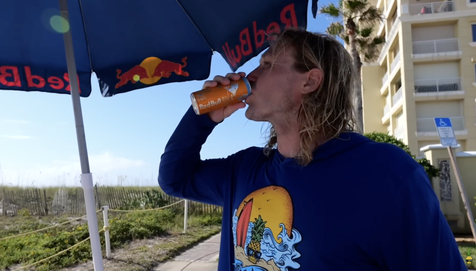 Red Bull Sugar Free Editions With Ben Gravy