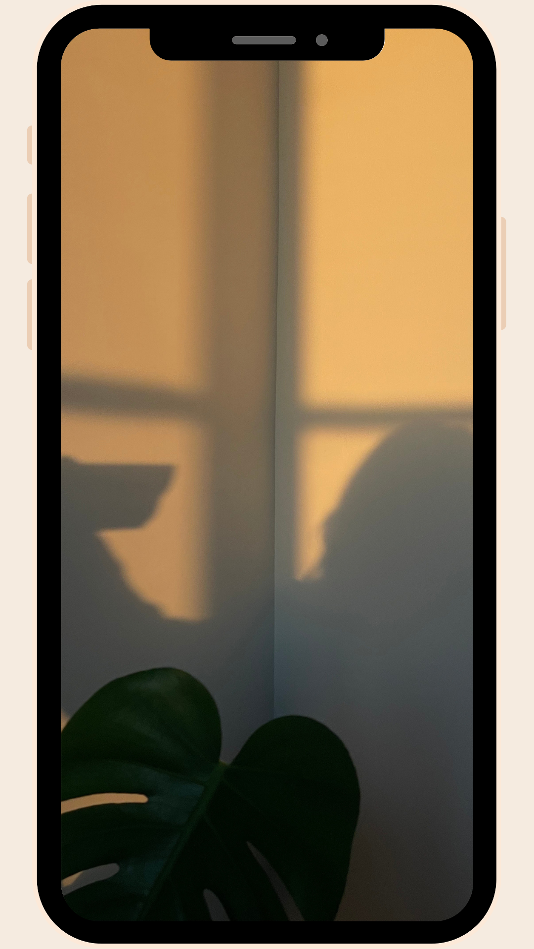 Warm afternoon light casts a soft shadow of a person and a houseplant against a quiet interior wall. A monstera leaf sits in the foreground. The scene is unhurried and unperformed — a moment that exists for no one but itself.