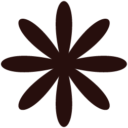 Lunch and Co. flower burst brandmark in chocolate brown — secondary brand identity mark as part of full identity system designed by Coast Road Creative