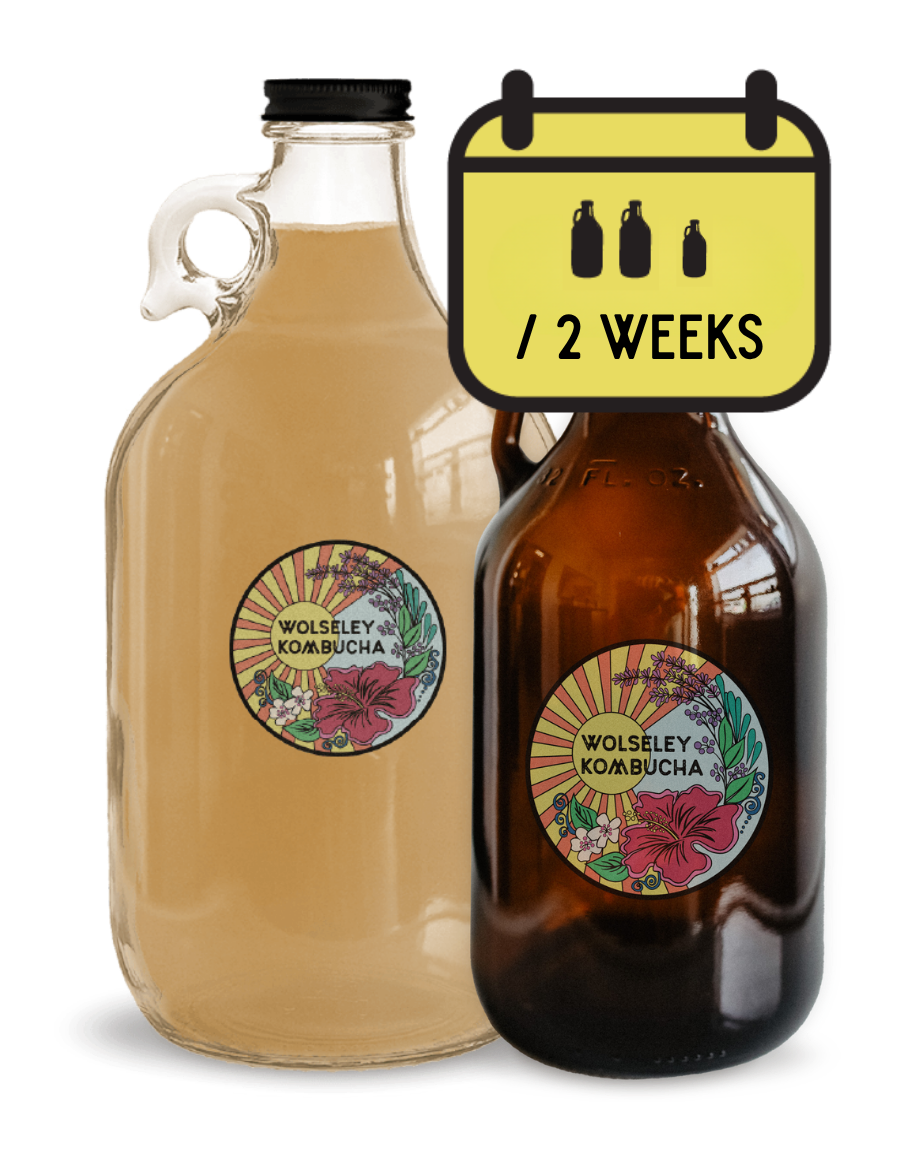 Delivery WK Booch Crew Subscription - 2 X 1.89L growlers + 1 X 946ML bottle every 2 weeks