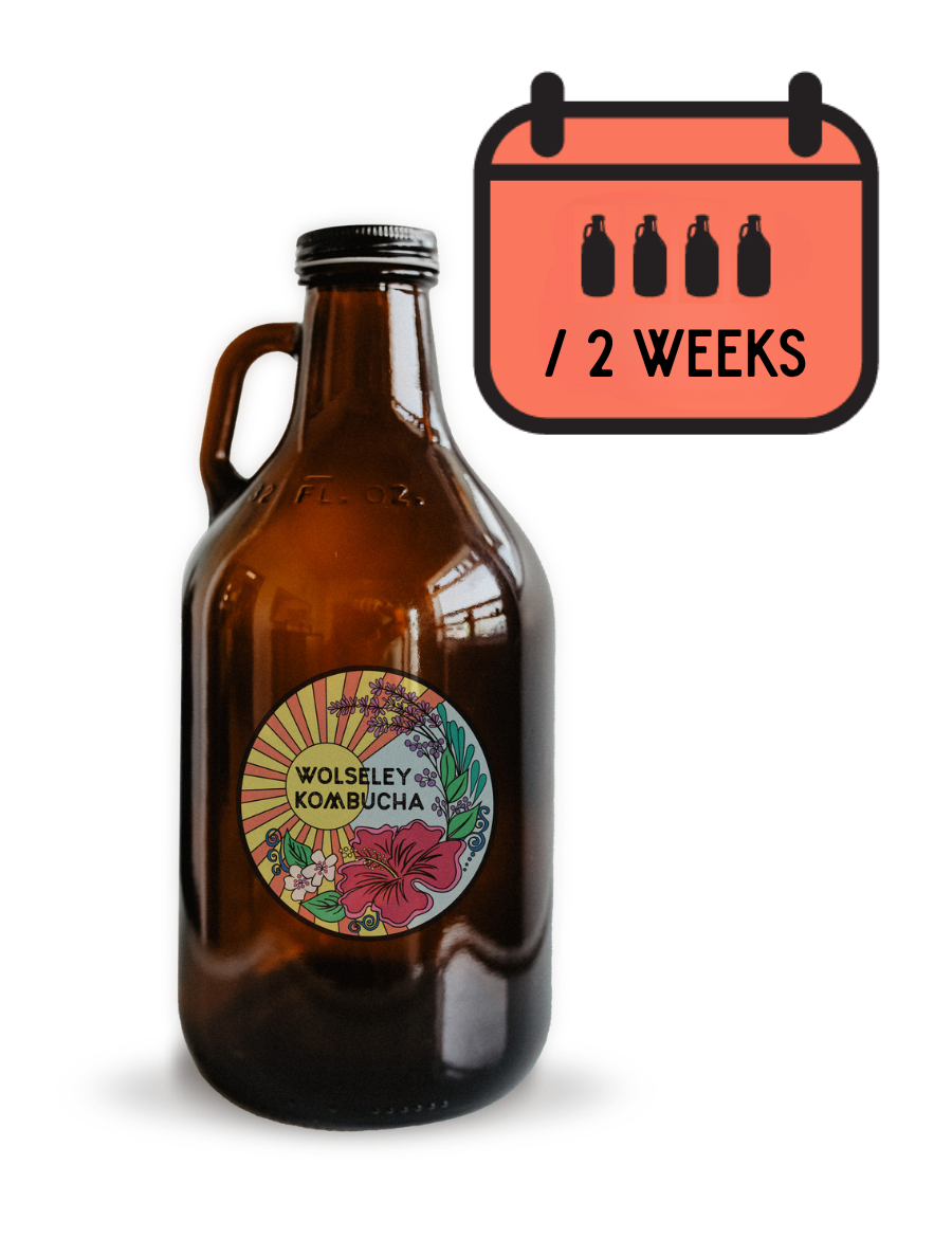 Pick up WK Booch Crew Subscription - 4 X 946mL bottles every 2 weeks