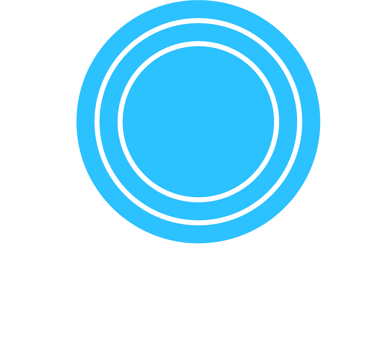 THE MICHAELS FOUNDATION