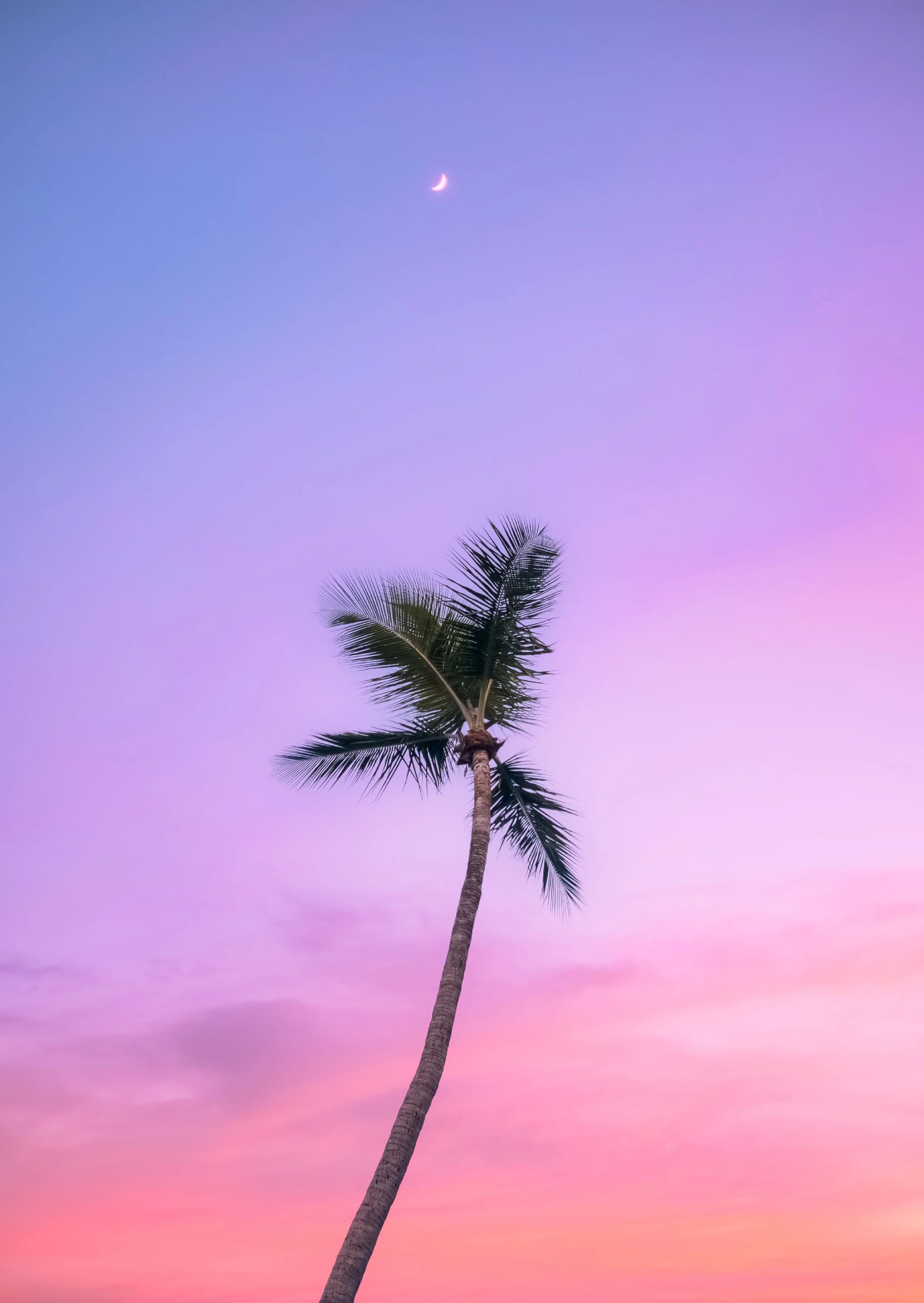 "summer nights" - Miami 2016