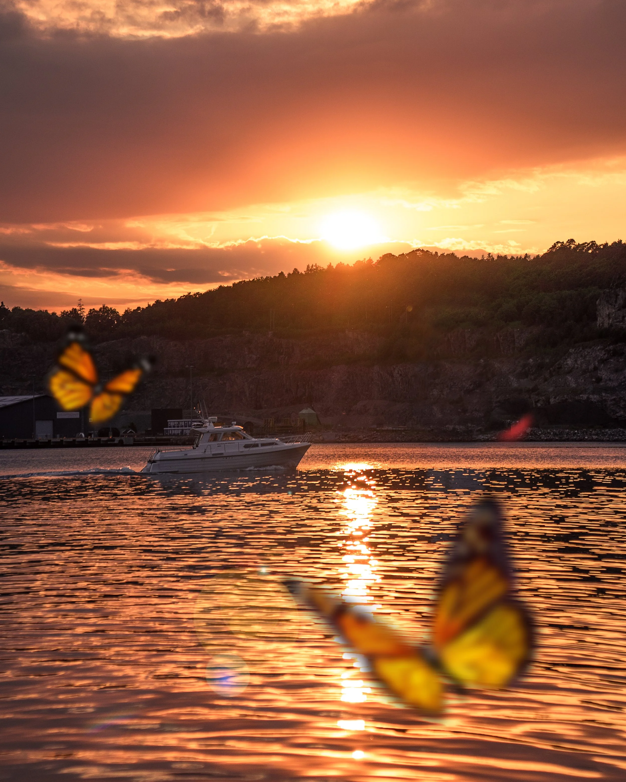 "butterfly effect" - Kristiansand 2018