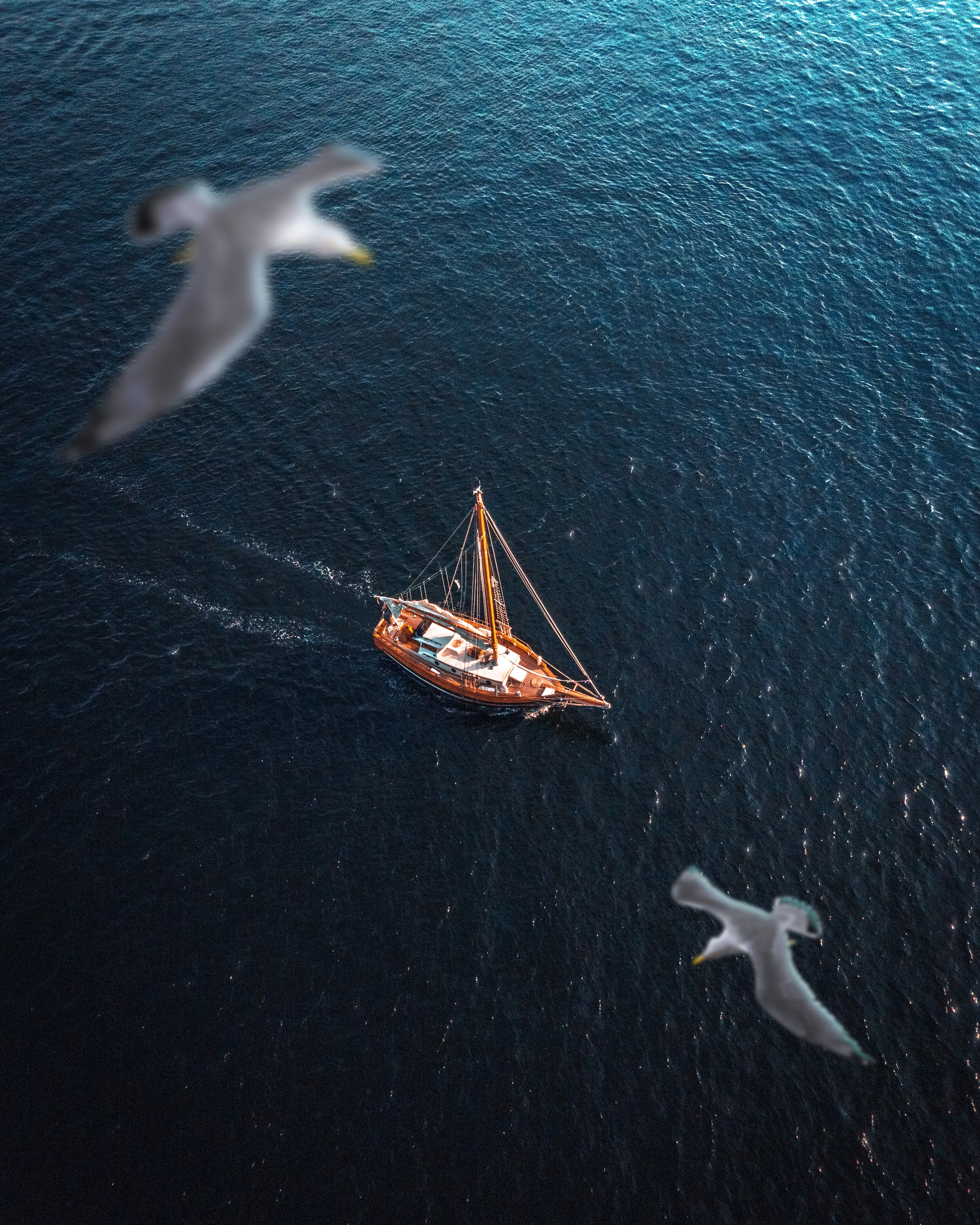 "bird's view" - Kristiansand 2018