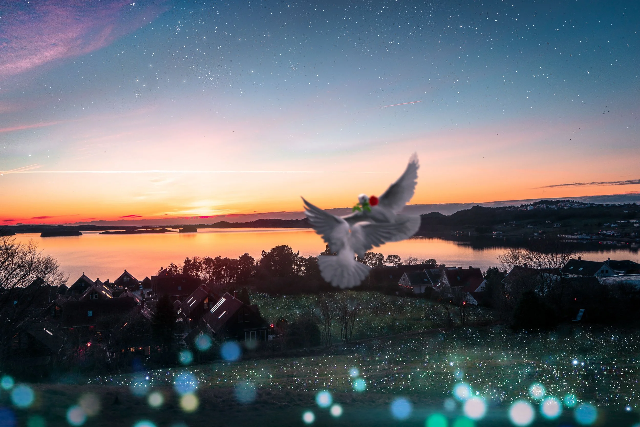 "us" - Stavanger 2019