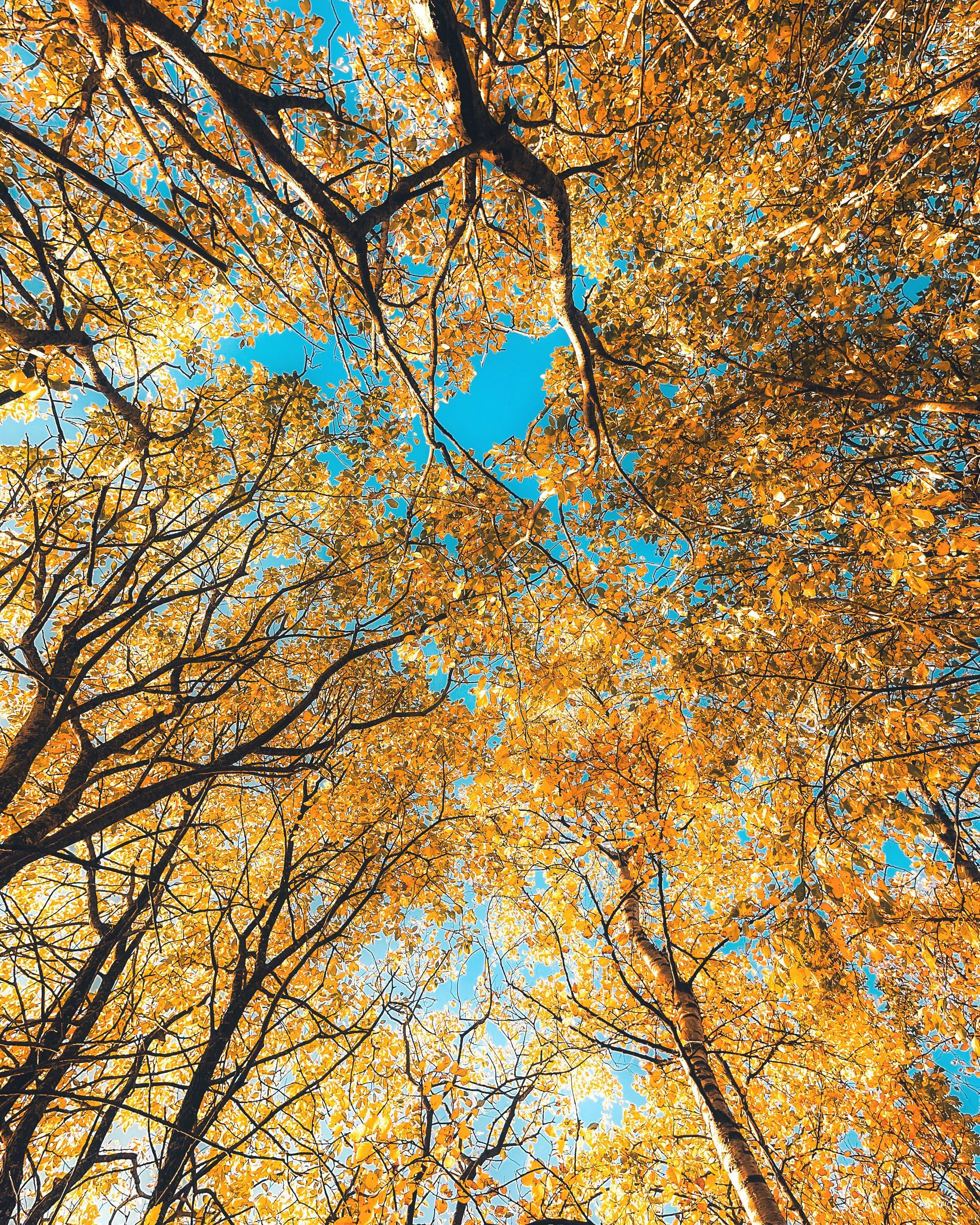 "yellow" - Bodø 2022