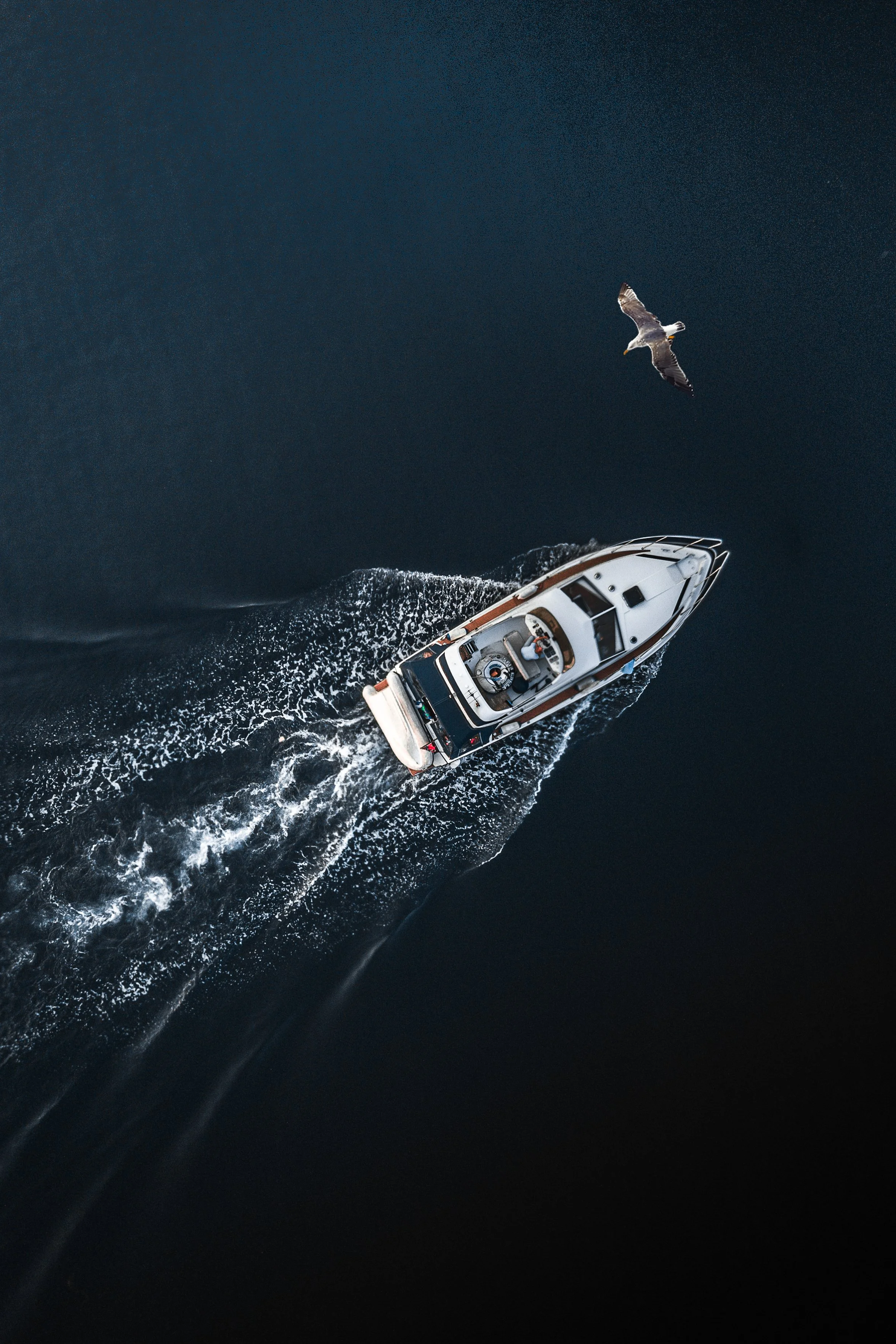 "bird's eye" - Fosen 2019