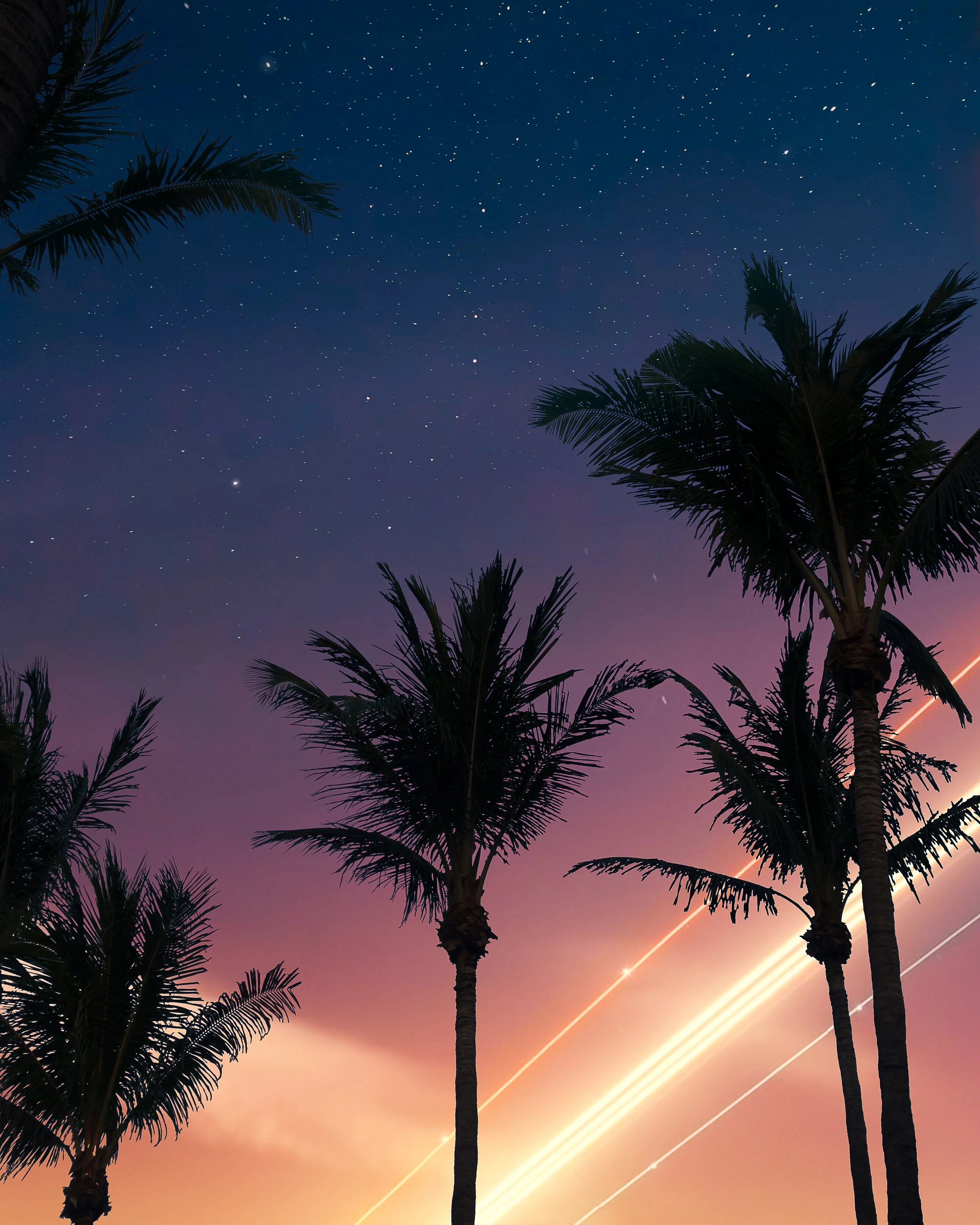 "palms" - St. Maarten 2018