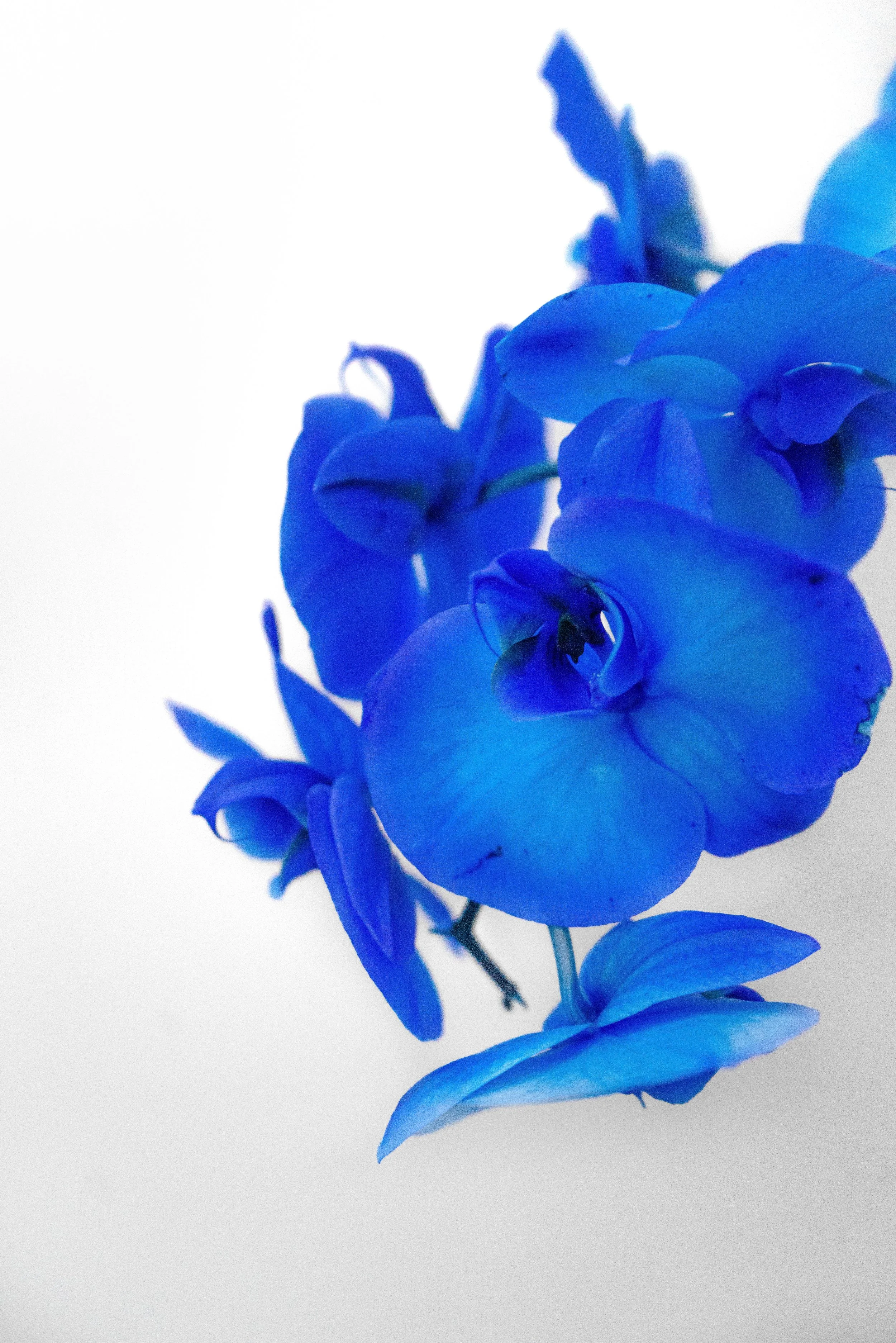 "forever yours" - Førre 2019