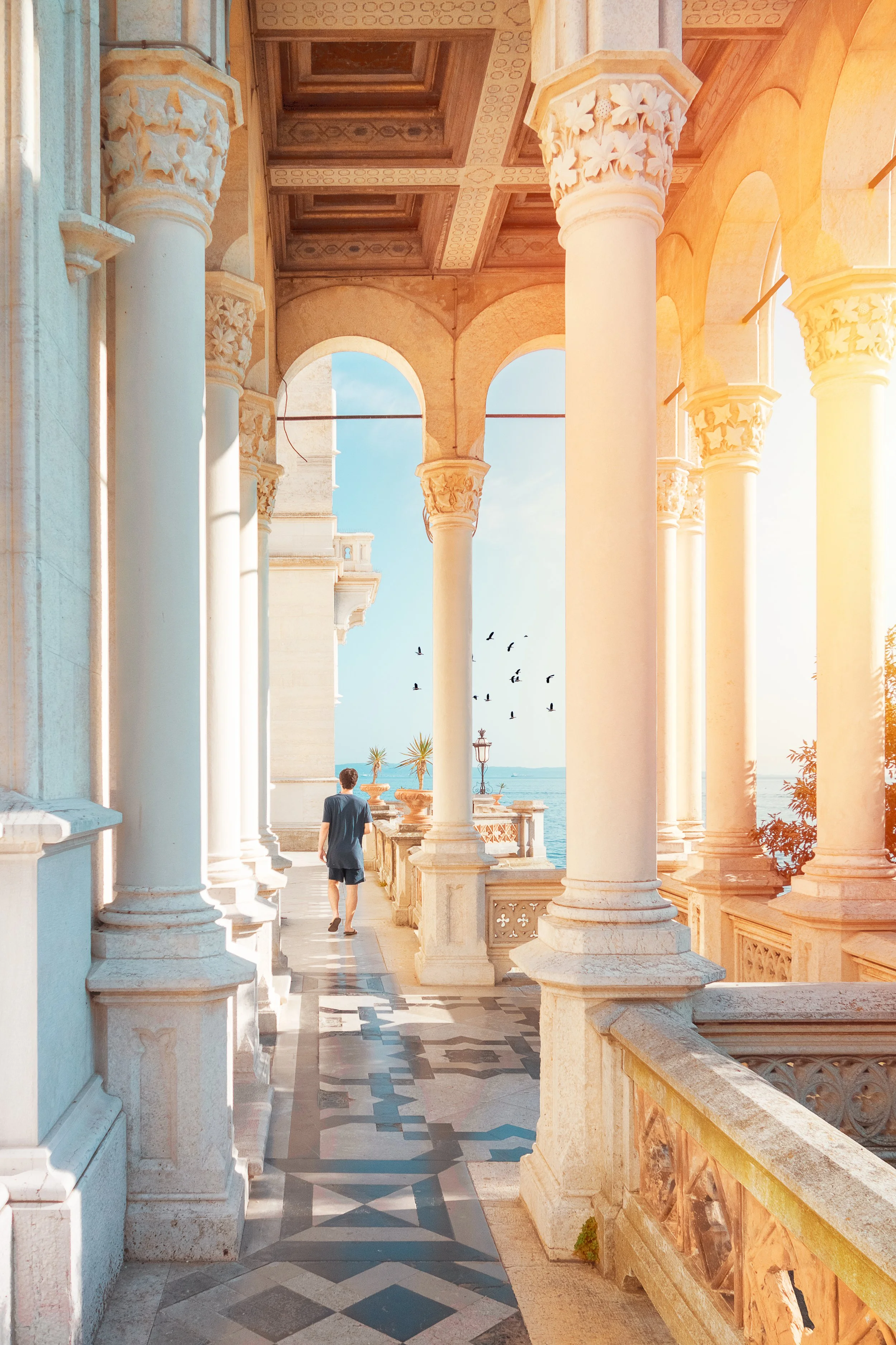 "see you never" - Trieste 2016