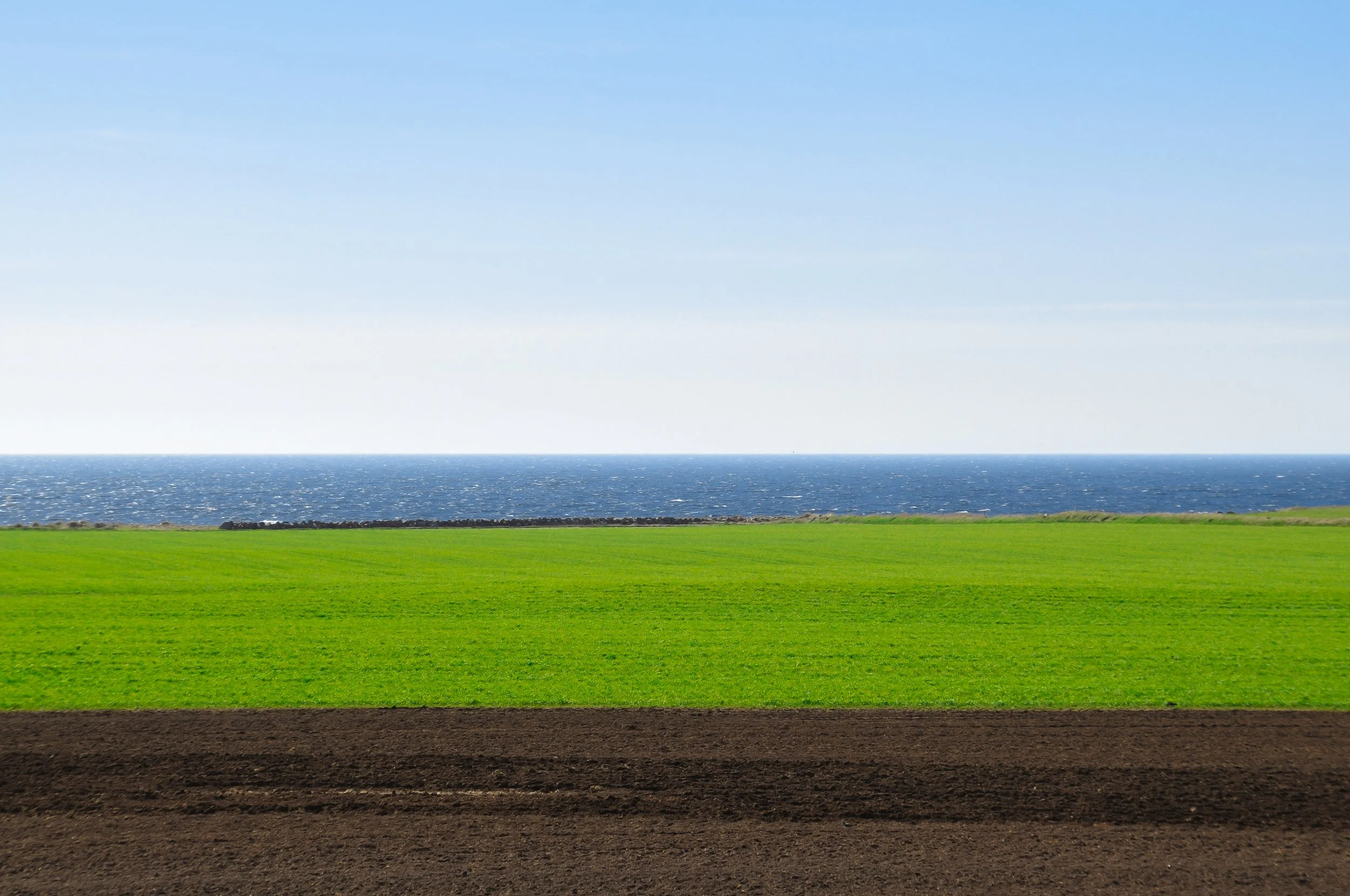 "jæren" - Jæren 2022