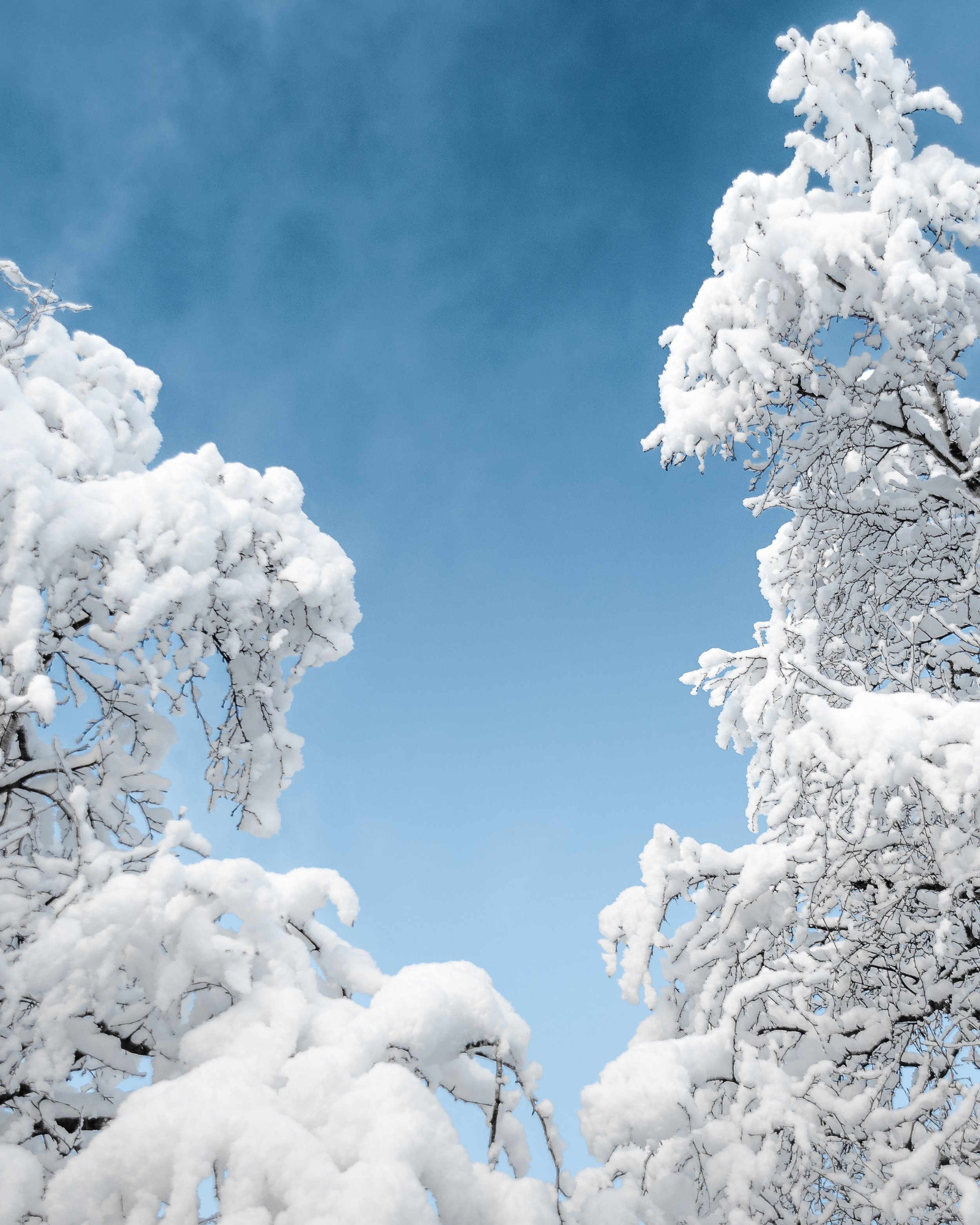 "quiet day" - Røldal 2022