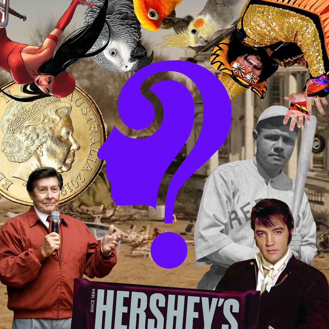 Hints for tonight's game!

6:00 @gregs_grillonthedeschutes in Bend, OR

#trivianight #trivia #pubquiz #bartrivia #inbend