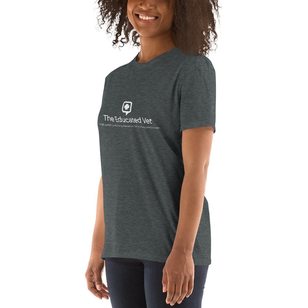 unisex-basic-softstyle-t-shirt-dark-heather-left-front-634ad2bfafbcc.jpg