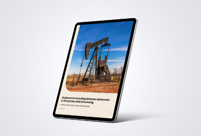 EDF Methane Abatement Long Format Report
