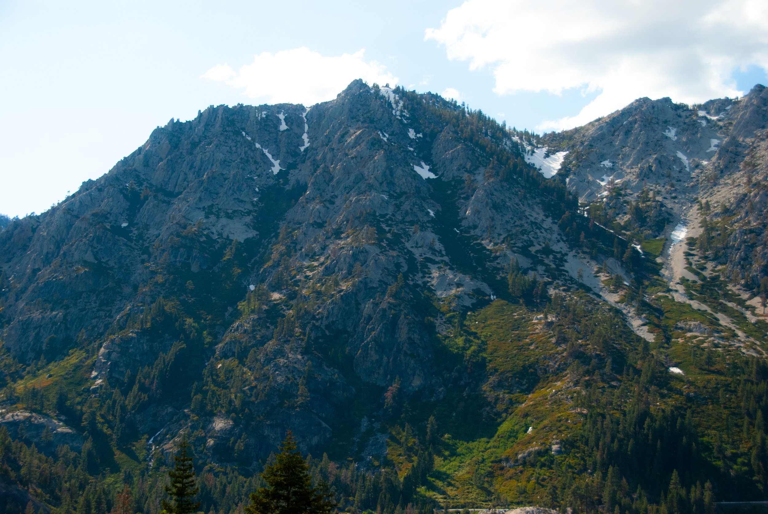 DSC_0168.jpg