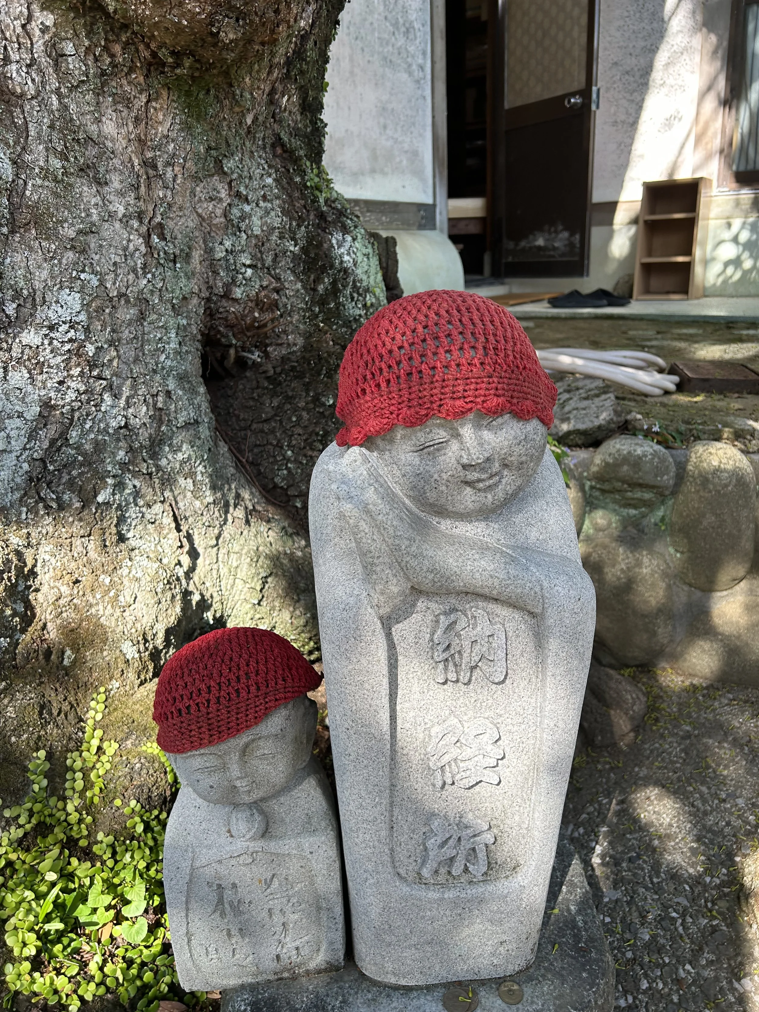 Homecoming | Guided Meditation with Dr. Peggy Rowe Ward