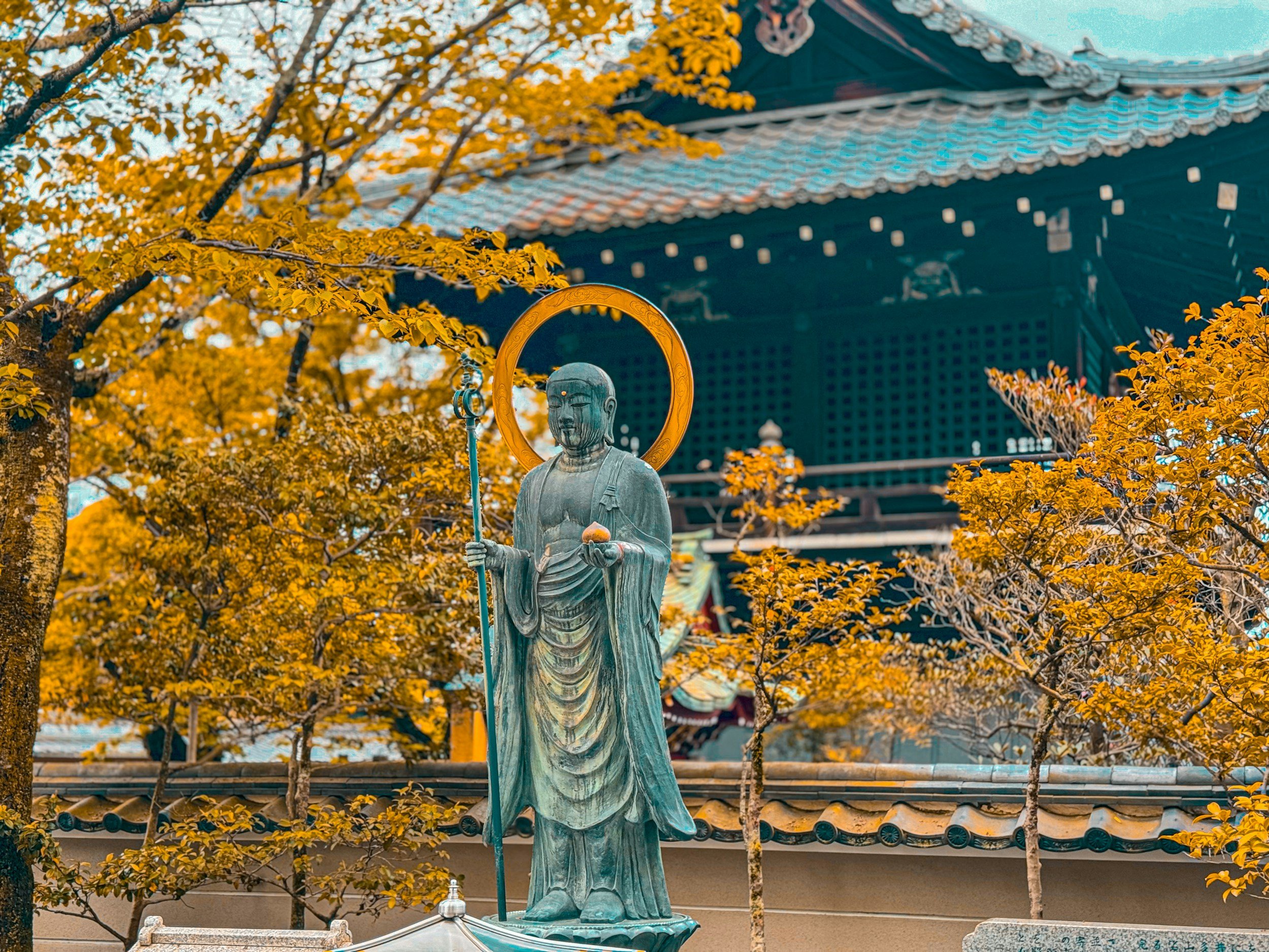 Silent Meditation | Monthly Practice led by Lotus Faculty &amp; Members
