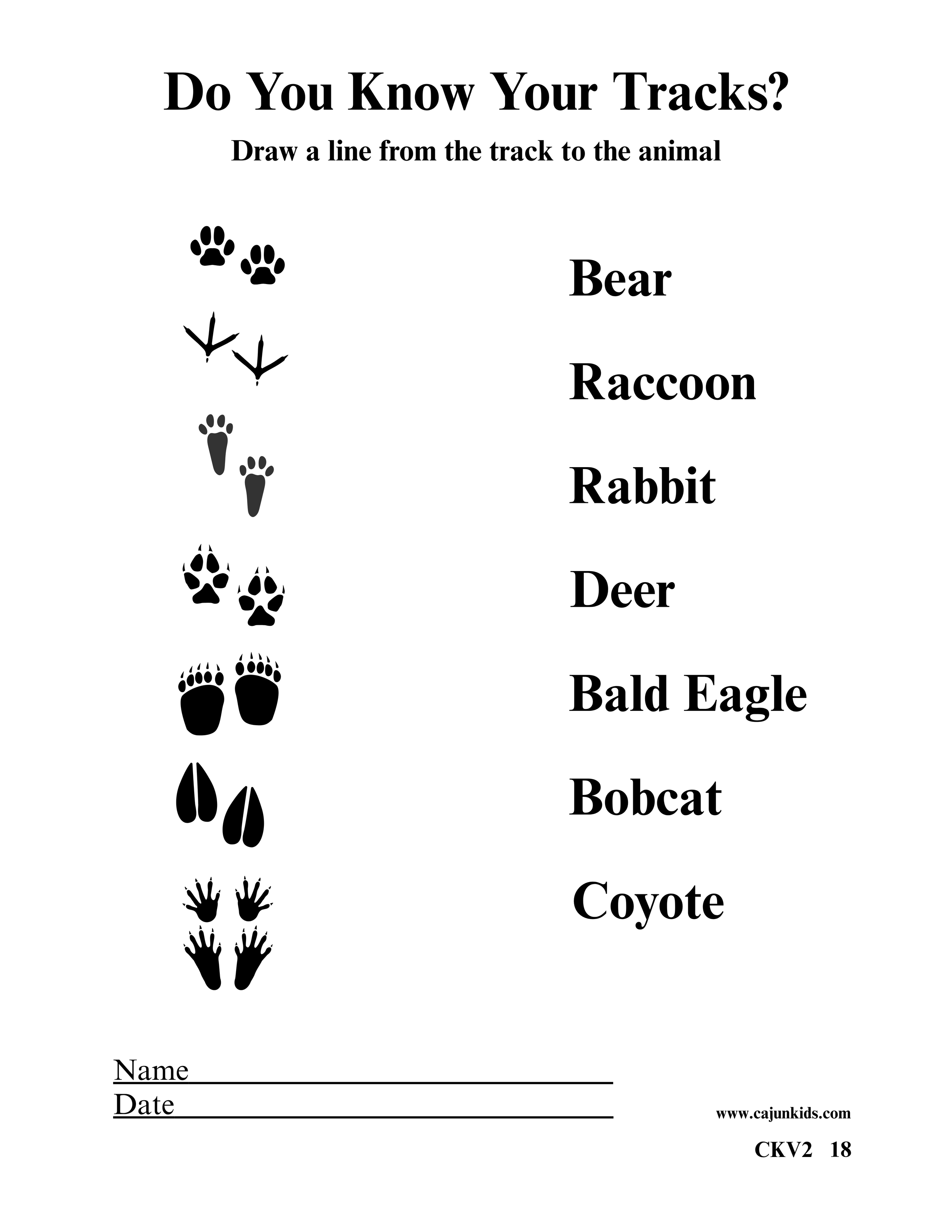 Vol 2 Cur tracks for website 8-7-26.png