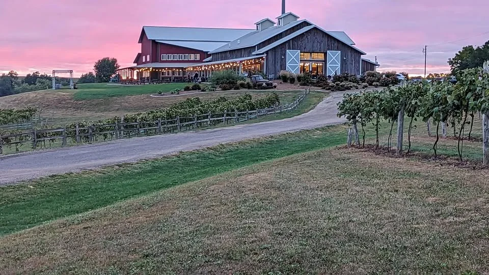 Bailey's Run Vineyard