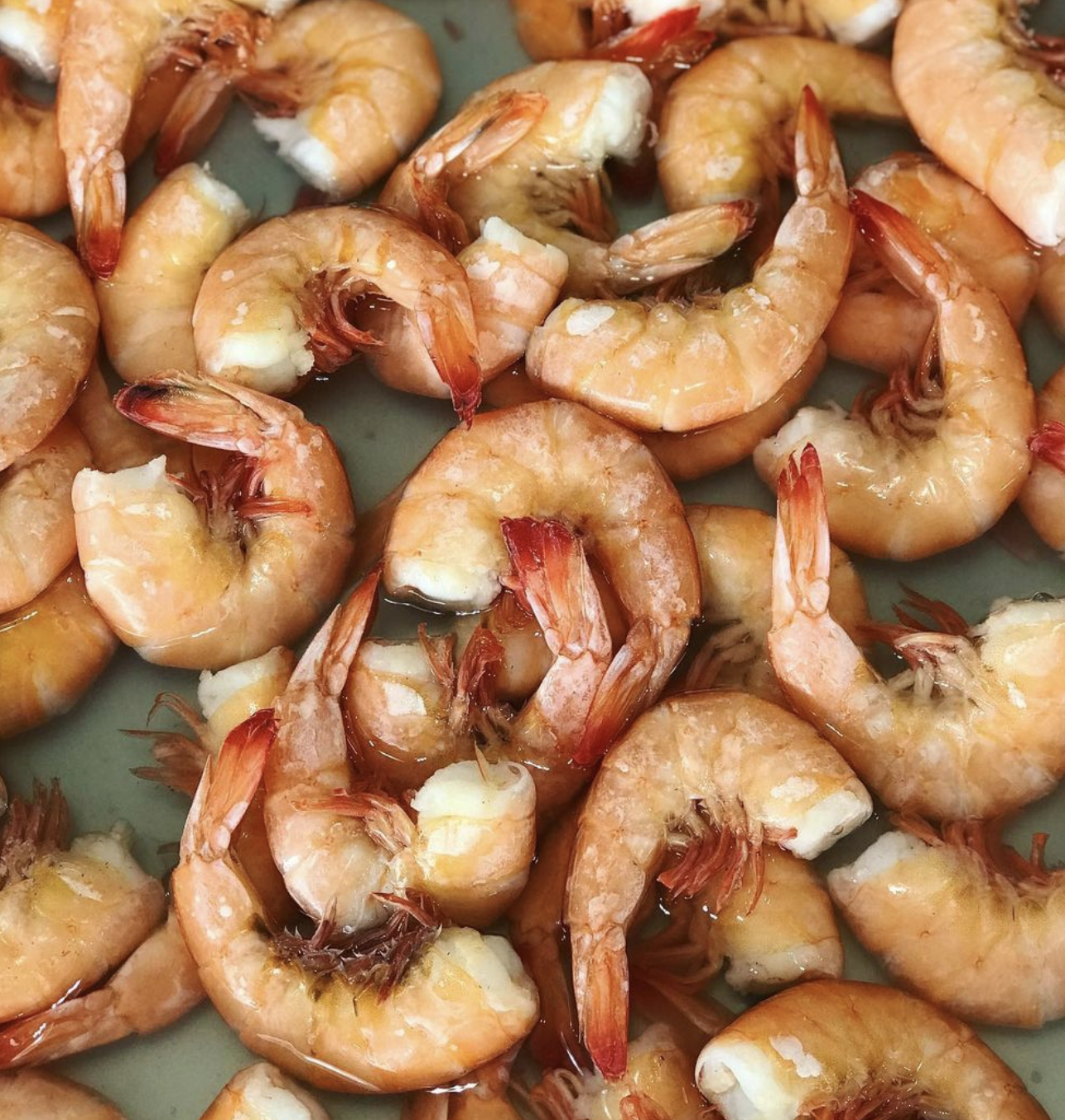 Screen Shot 2022-05-15 at 12.22.12 PM.png