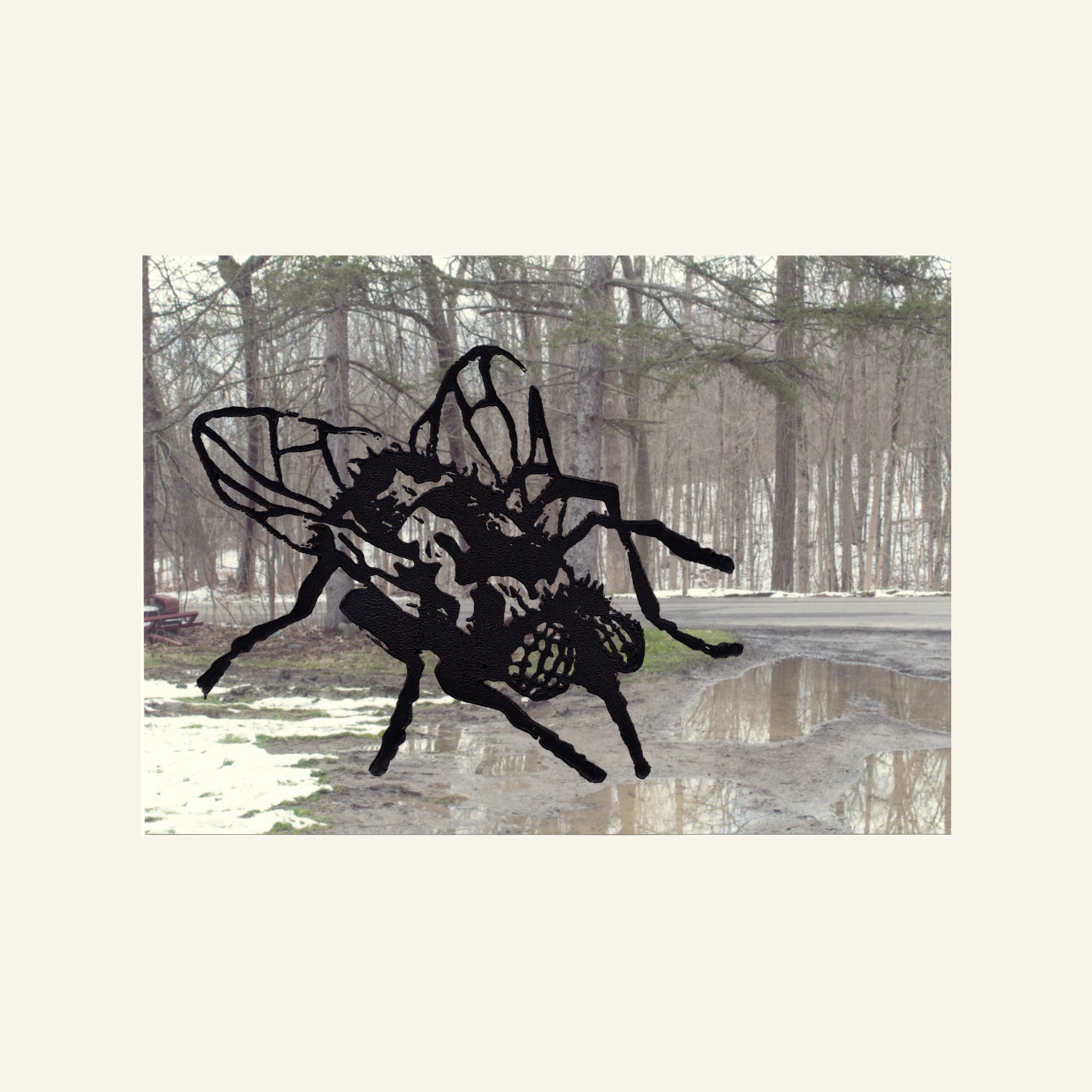 Print Product Images (23).png