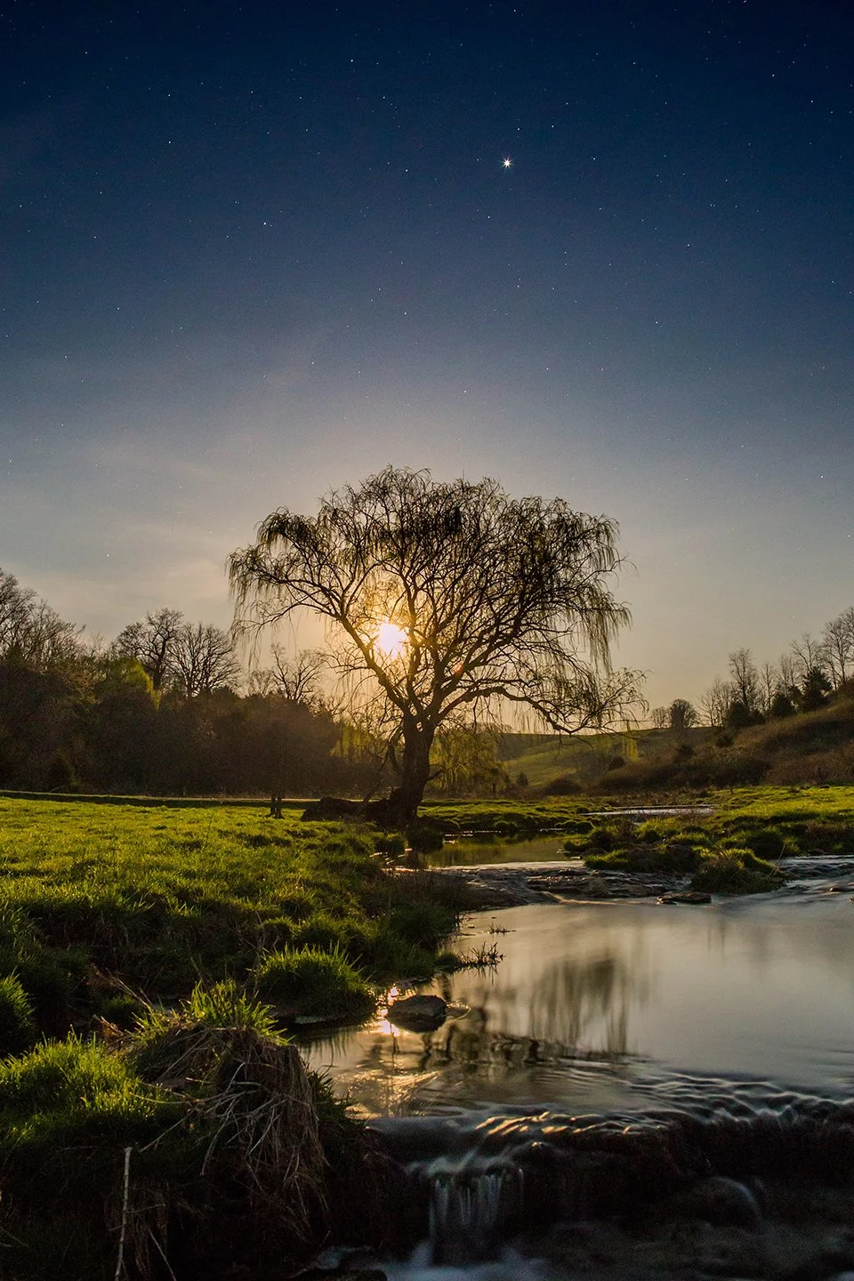 View of creek and tree on this property in Monroe County, WV