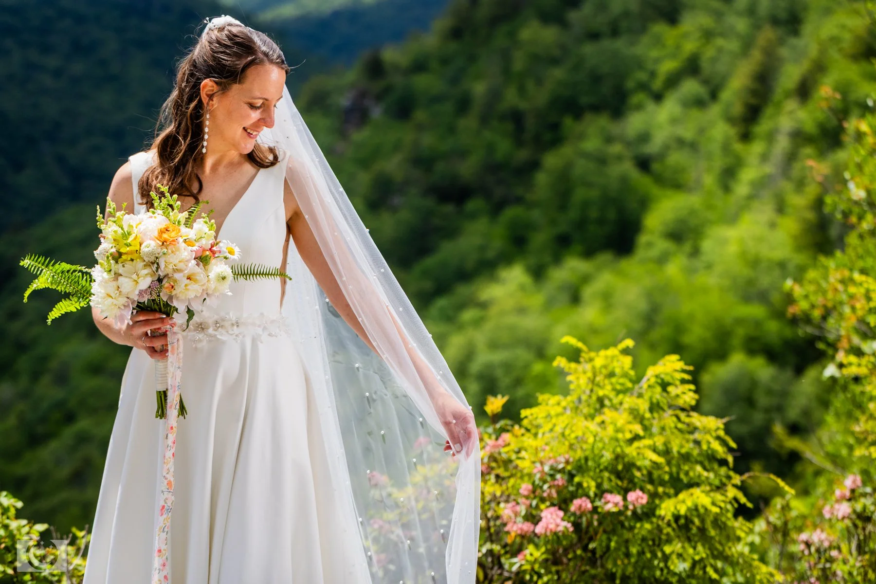 Bridal Portrait - Blackwater Fall State Park, WV