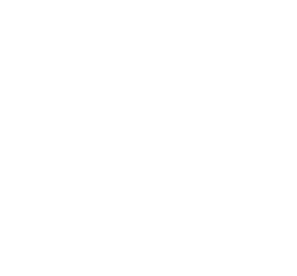 Logo for Night Watchman Photography, featuring a camera with a moon and stars inside the lens area.