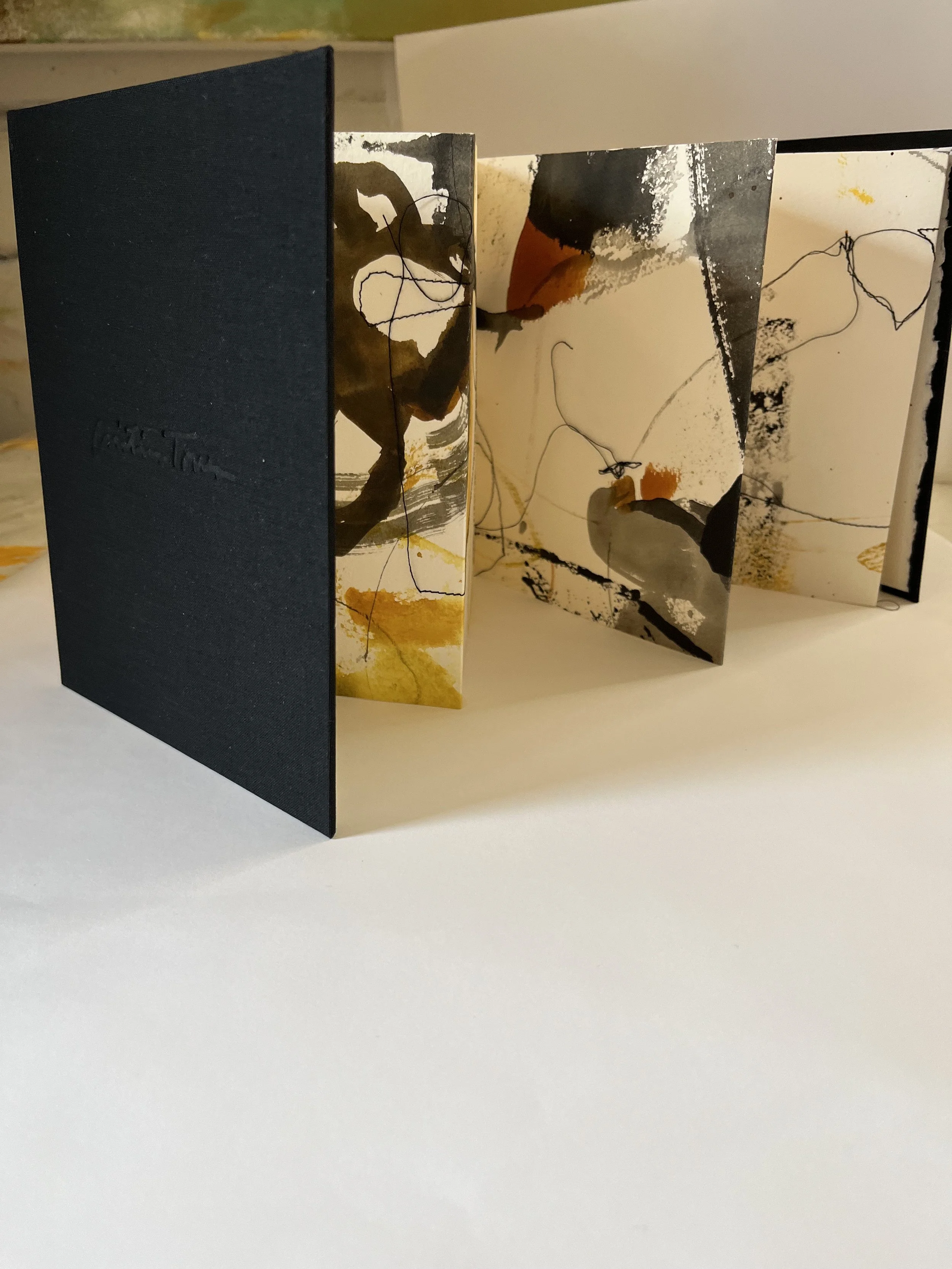 JUEGA CON LOS HILOS DE TU REALIDAD III_Libro de artista_Acrílico, tintas y bordado sobre papel montado en caja de lino y papel_caja21.5x17_2025 (2).jpeg