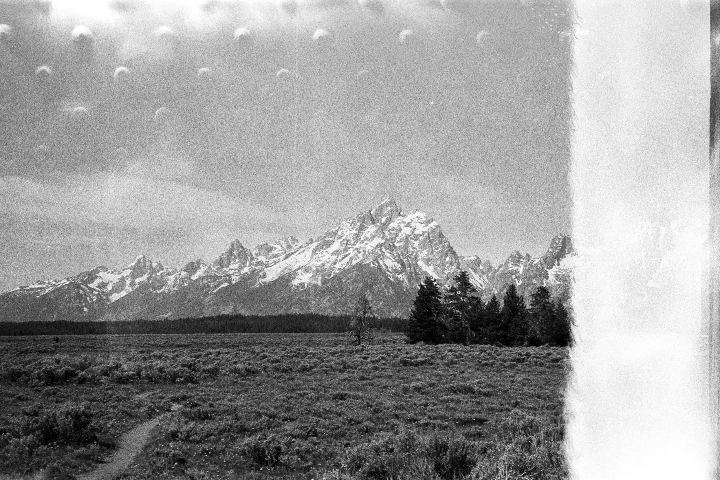 Changing Direction on a Whim (2021)
Grand Teton National Park, WY