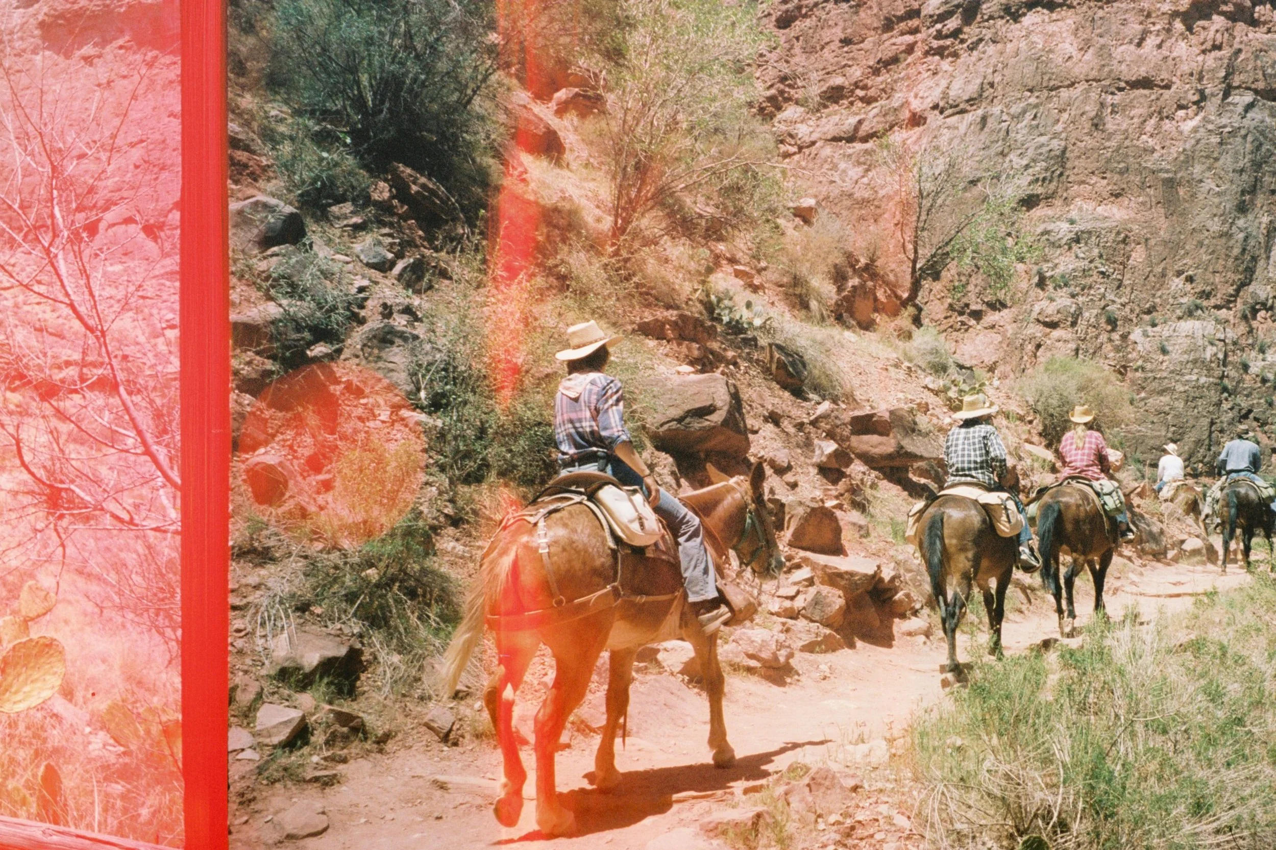 Happy Birthday Joyce (2021)
Grand Canyon National Park, AZ