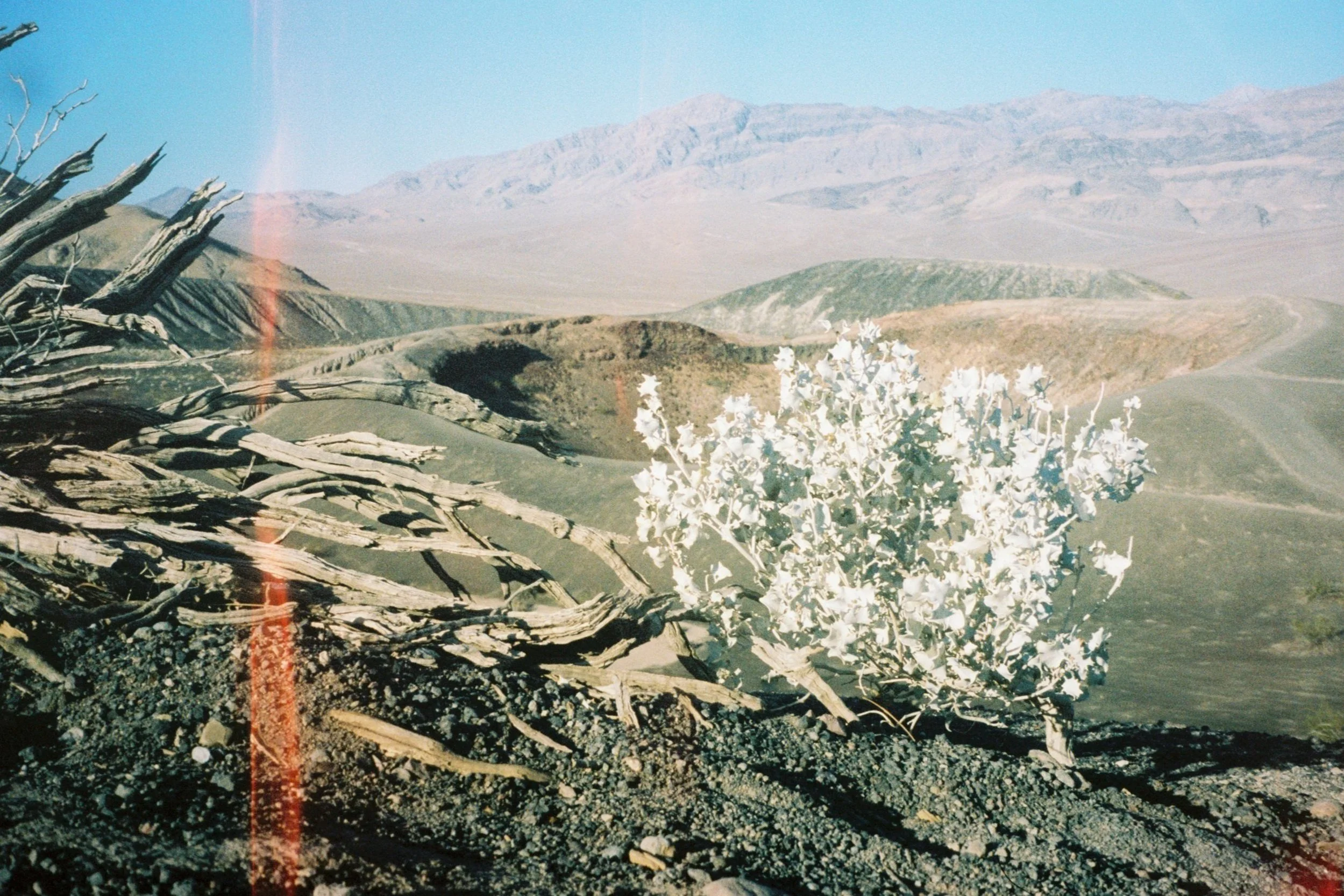 Ubehebe (2021)
Death Valley National Park, CA